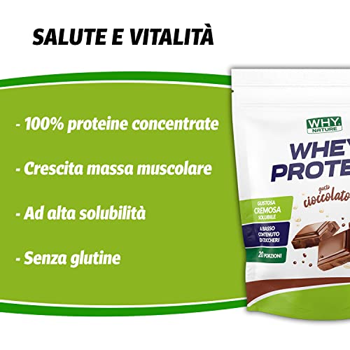 WHY NATURE WHEY PROTEIN - Proteine Whey - Proteine in Polvere per la Massa Muscolare - Proteine Concentrate del Siero del Latte Senza Glutine - 400 gr