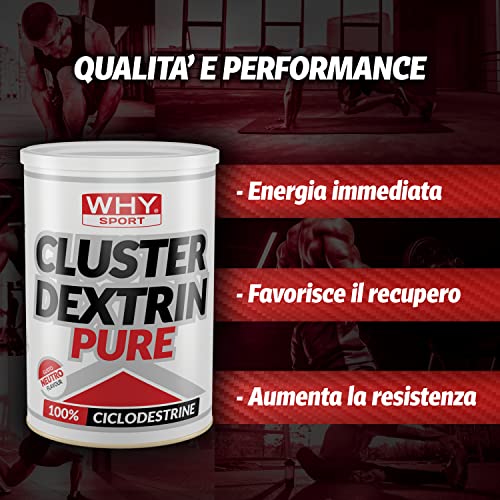WHY SPORT CLUSTER DEXTRIN PURE - Ciclodestrine - Integratore Alimentare Energetico - 500 gr