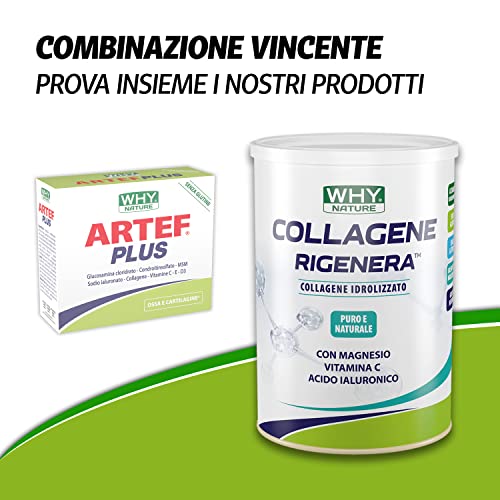 WHY NATURE - ARTEF PLUS - Integratore Alimentare Ossa e Cartilagine - Con Vitamina C, Vitamina D3, Vitamina E, Acido Ialuronico - Gusto Arancia - Senza Glutine