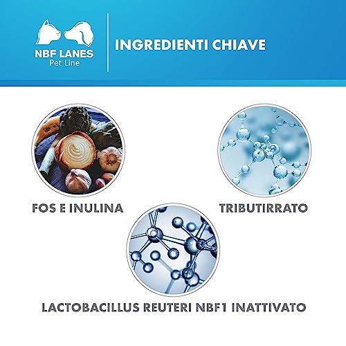 NBF Lanes | Microbiotal Cane, 30 Compresse Appetibili, per Favorire il Fisiologico Benessere del Microbiota Intestinale