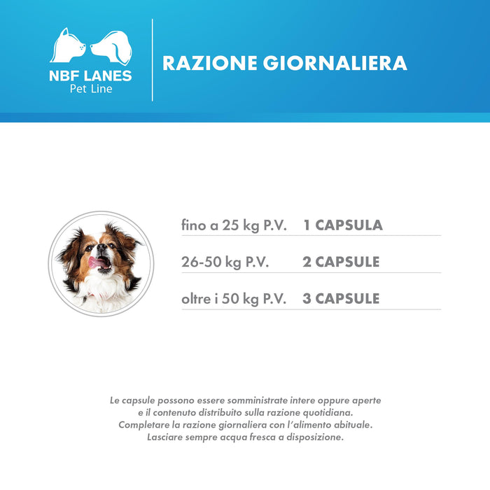 NBF LANES | Reuteral Pet Cane, 30 Capsule, Probiotico a base di fermenti lattici vivi per la stabilizzazione della Flora intestinale nei Cani